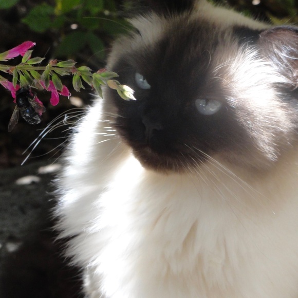 Meet your Posher, Nila - Picture 4 of 8